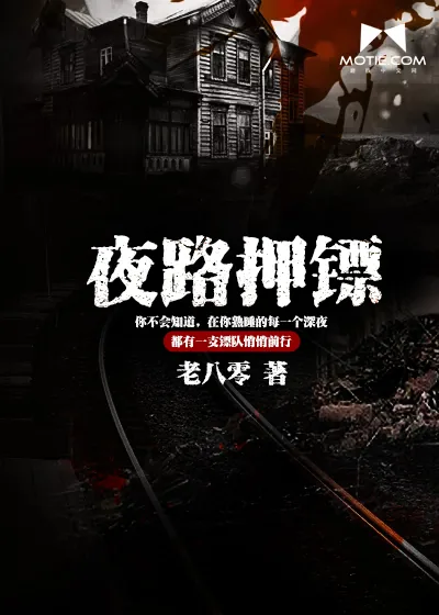 《夜路押镖》封面