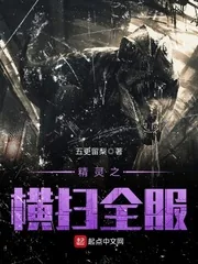 《精灵之横扫全服》封面
