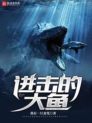 《进击的大鱼》小说封面