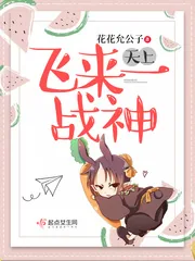 《天上飞来一战神》封面