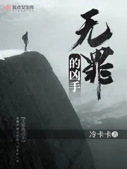 《无罪的凶手》封面