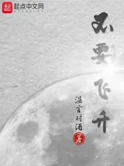 《不要飞升》封面