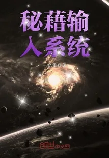 《秘藉输入系统》封面