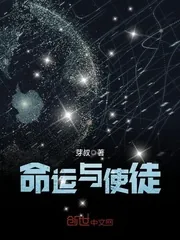《命运与使徒》封面