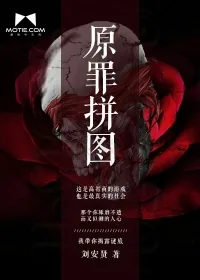 《原罪拼图》小说封面