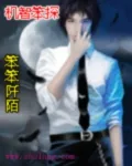 《机智笨探》小说封面