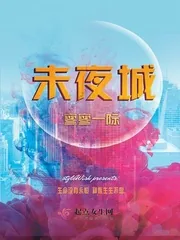 《未夜城》封面