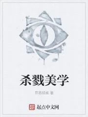 《杀戮美学》小说封面