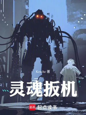 《灵魂扳机》小说封面