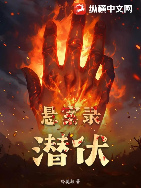 《悬案录：潜伏》小说封面