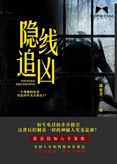 《隐线追凶》封面