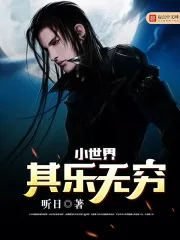 《小世界其乐无穷》小说封面