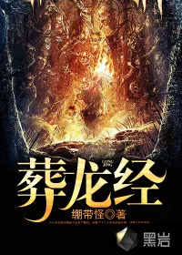 《葬龙经》封面