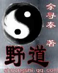 《野道》封面