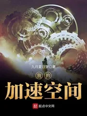 《我的加速空间》小说封面
