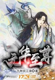 《元华至尊》封面