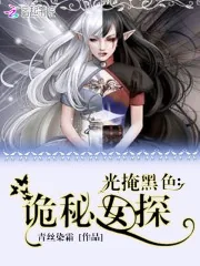 《光掩黑色：诡秘女探》封面
