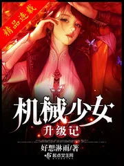 《机械少女升级记》封面