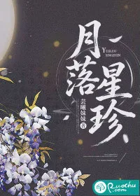 《月落星珍》小说封面