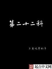 《第二十二科》小说封面