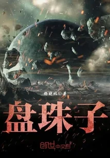 《盘珠子》封面
