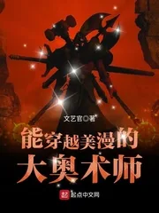 《能穿越美漫的大奥术师》封面