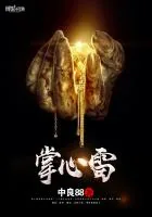 《掌心雷》小说封面