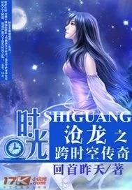 《时光沧龙之跨时空传奇》封面