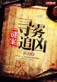 《谜案：寻雾追凶》封面