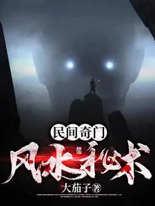 《民间奇门风水秘术》小说封面