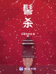 《髻杀》小说封面