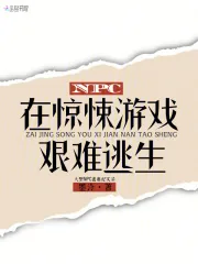 《NPC在惊悚游戏艰难逃生》小说封面