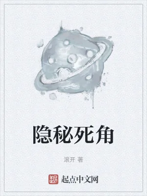 《隐秘死角》小说封面