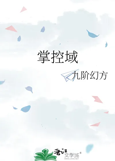 《掌控域》小说封面