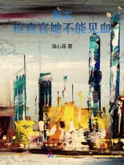 《废土:检查官她不能见血》小说封面