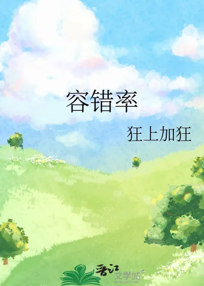 《容错率》小说封面