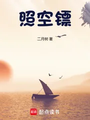 《照空镖》小说封面