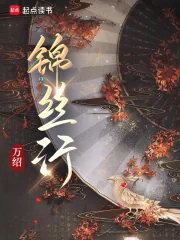 《锦丝行》小说封面