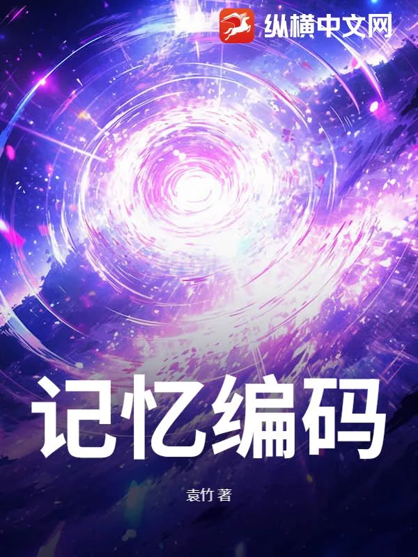 《记忆编码》小说封面