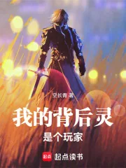 《我的背后灵是个玩家》小说封面