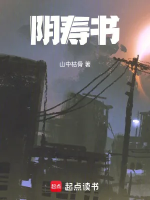《阴寿书》小说封面