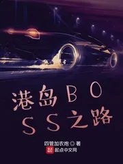 《港岛BOSS之路》小说封面
