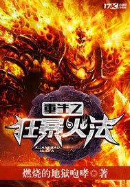 《重生之狂暴火法》小说封面