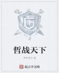 《哲战天下》小说封面