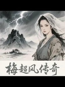 《梅超风传奇》小说封面