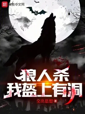 《狼人杀:我盔上有洞》小说封面