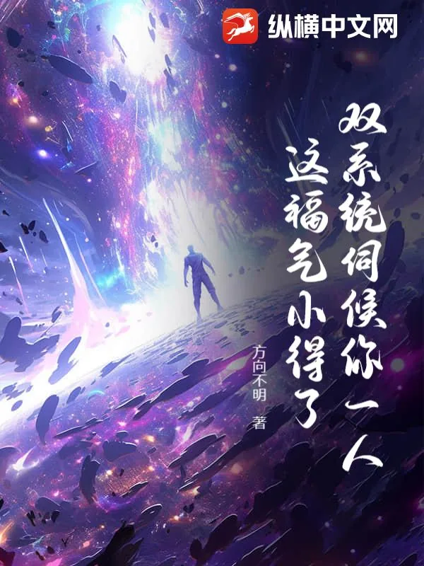 《双系统伺候你一人，这福气小得了？》小说封面