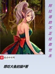 《阿拉德的不正经救世主》小说封面