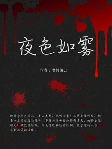 《夜色如雾》小说封面