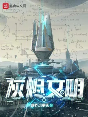 《灰烬文明》小说封面